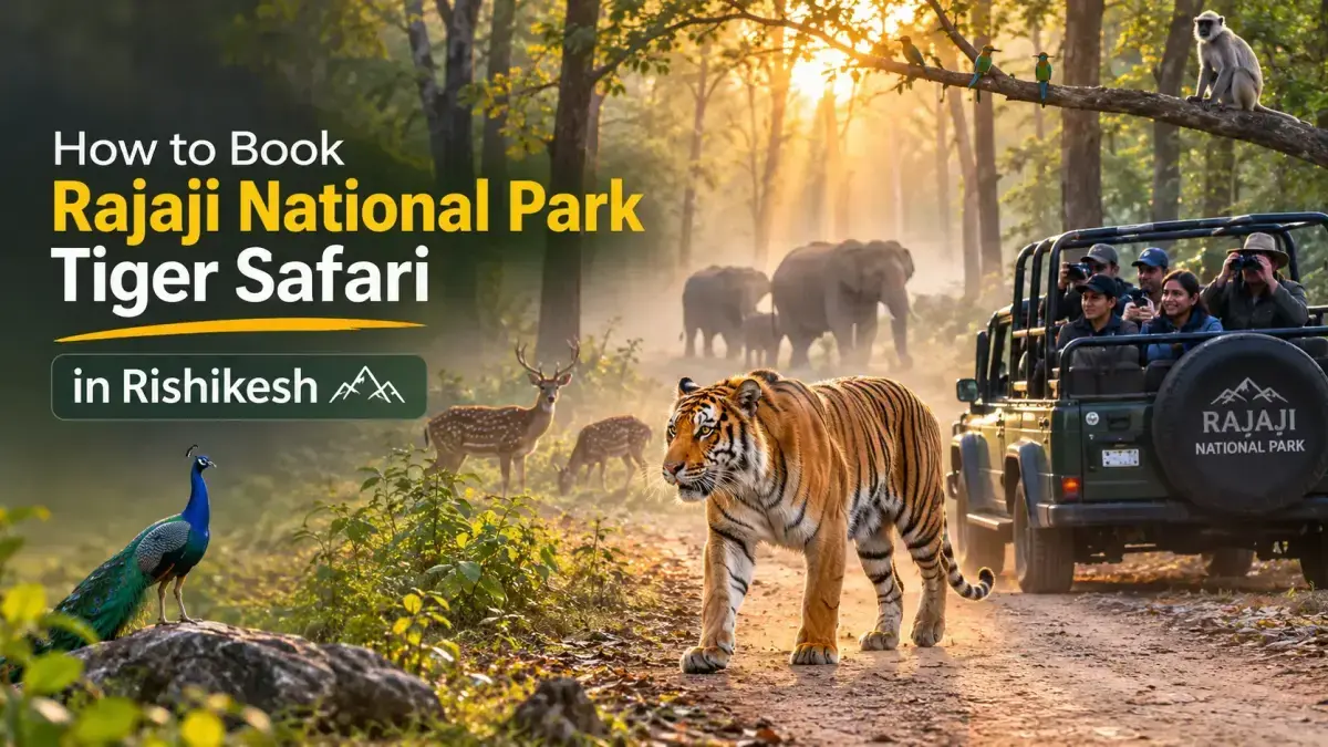 Rishikesh Tiger Safari